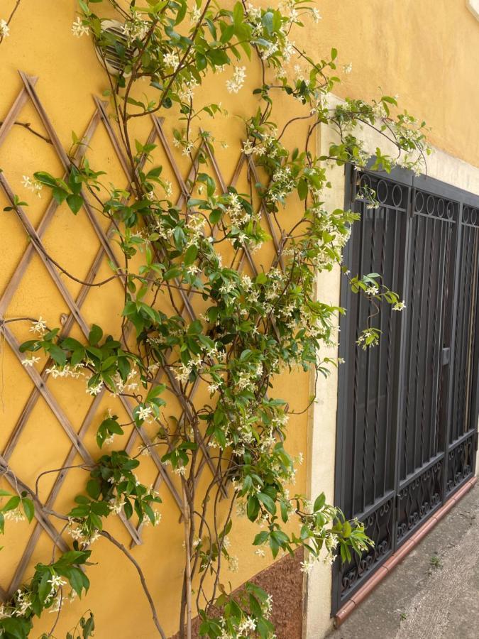 B&B Mela Roggiano Gravina Exterior photo